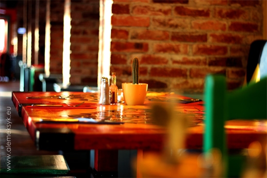 blue-cactus-stoliki-i-wystroj