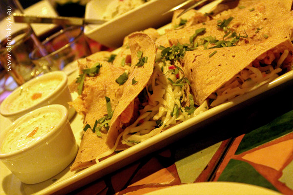 blue-cactus-warsztaty-tacos