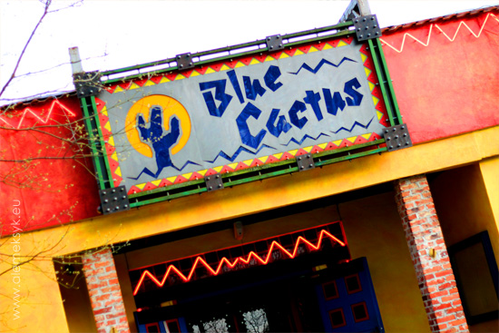 blue-cactus-wejscie