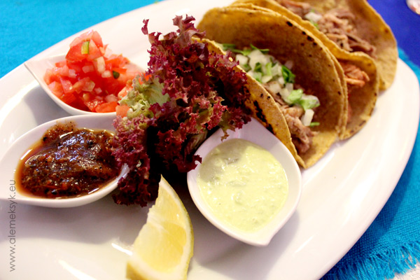 alebriche-sosy-i-salsy