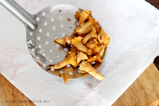 kurki-czyszczenie-recznik