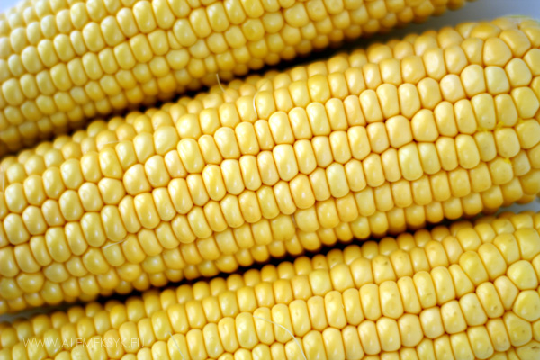 krem-z-kukurydzy-skladniki