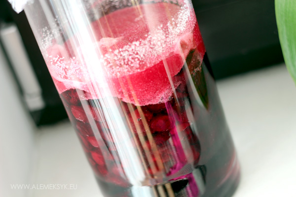 nalewka-wisniowa-zapypane-cukrem-2-dzien