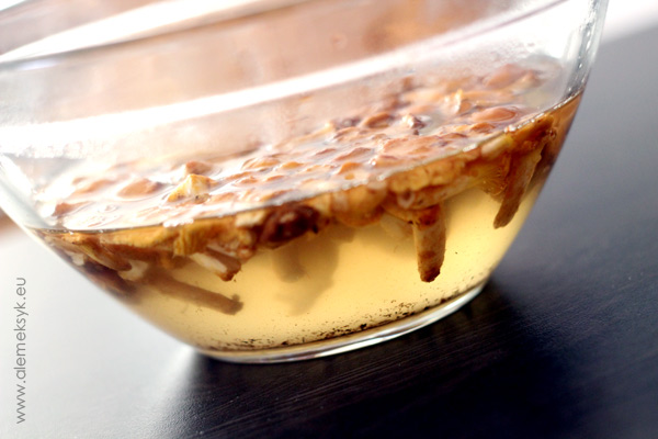 quesadilla-z-kurkami-001