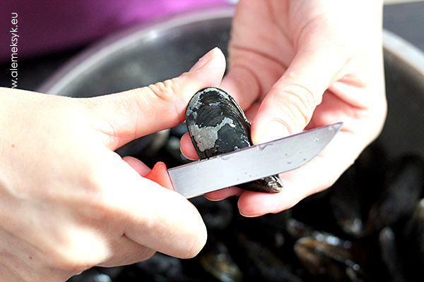 mule-przygotowanie-001