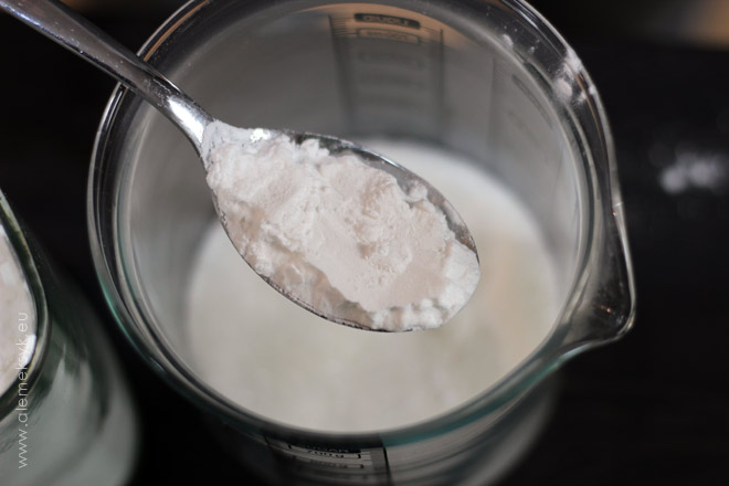 pavlova z kasztanami 002