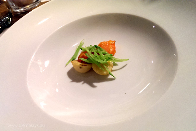 consomme bazant 001i