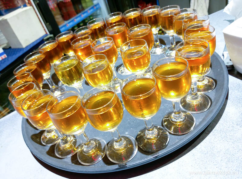 projekt swietokrzyskie 12