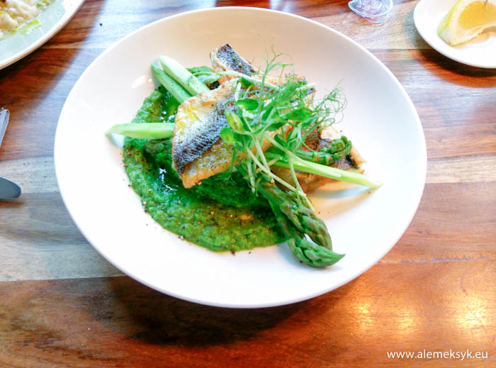 casablanca warszawa 5