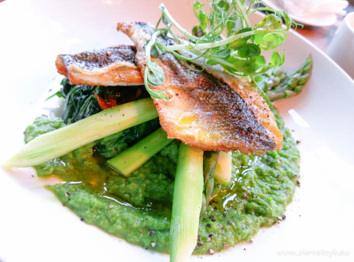 casablanca warszawa 9