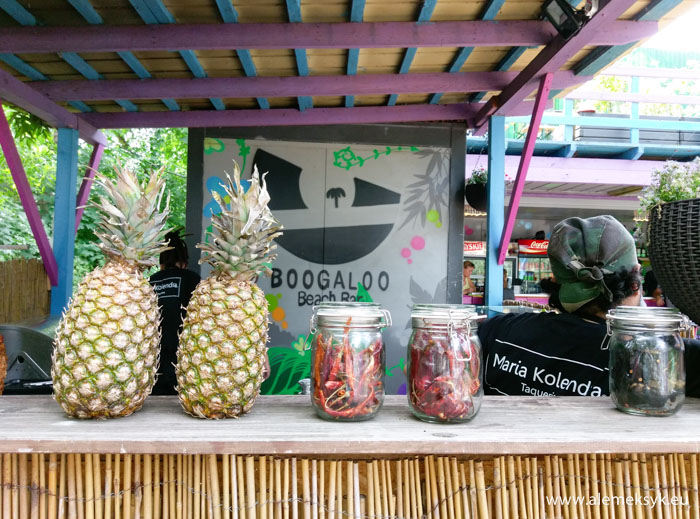 maria kolendra zoliborz 6