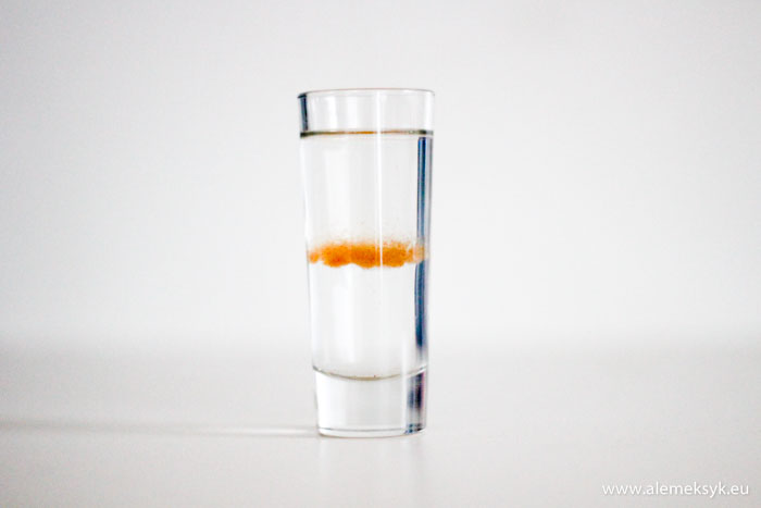 wsciekle psy biale 02