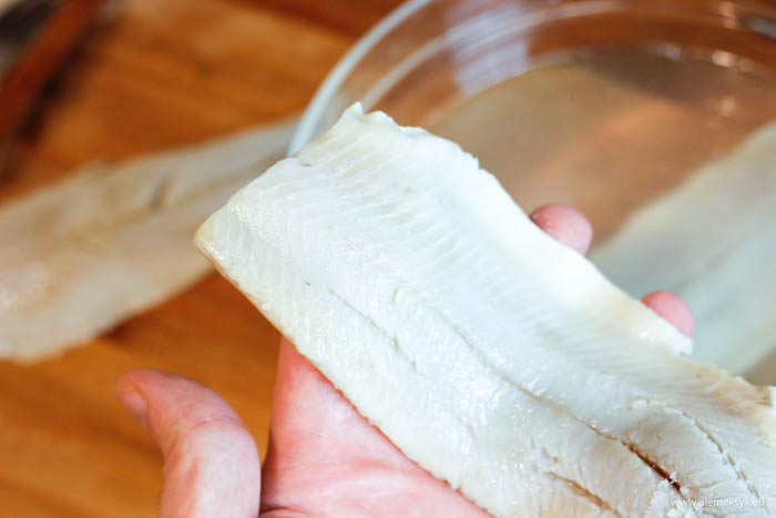 tatar ze sledzia 713