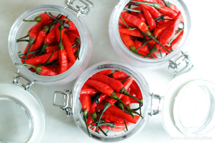 marynowane papryczki chili 5