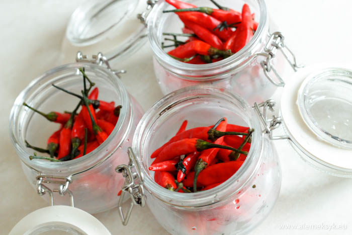 marynowane papryczki chili 6