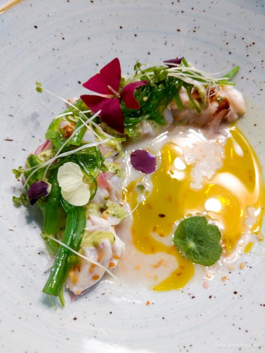 warszawski sznyt urodziny 705