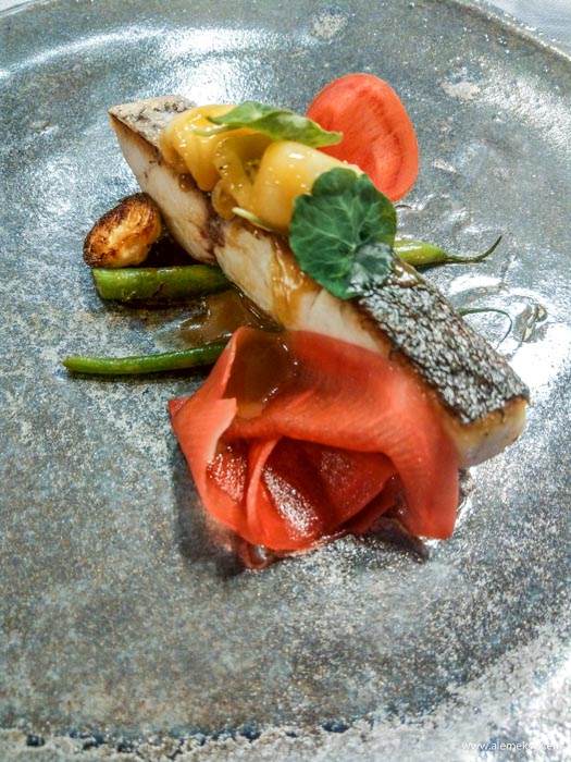 warszawski sznyt urodziny 708