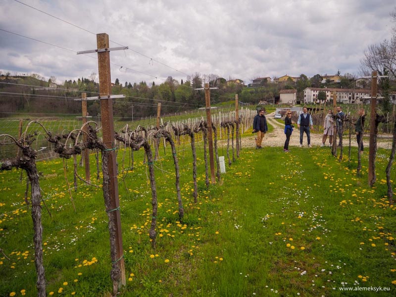 proseccotour lebarbatelle 152
