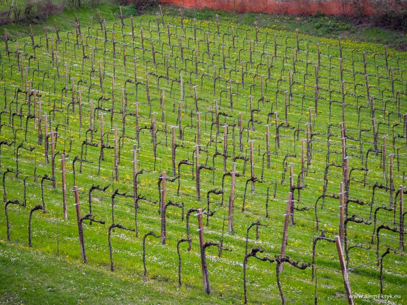 proseccotour lebarbatelle 155