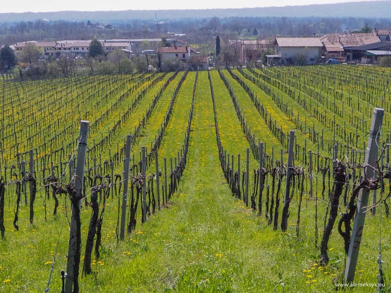 proseccotour lebarbatelle 27