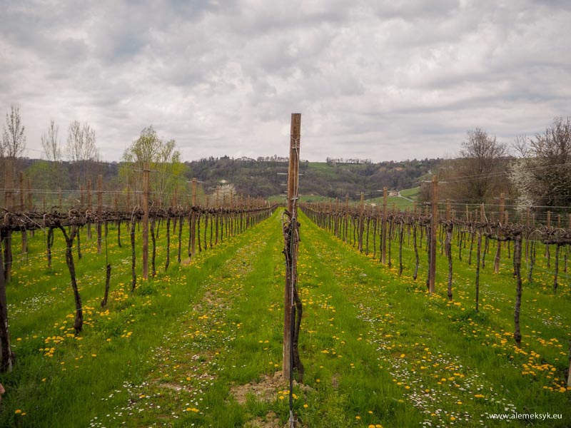 wlochy proseccotour 151