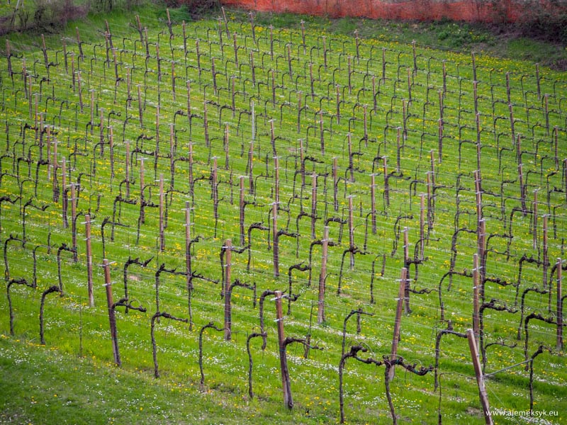 wlochy proseccotour 155