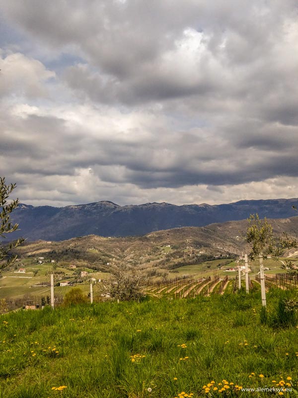 wlochy proseccotour 158