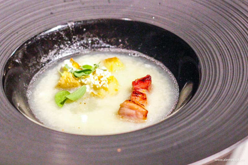 zielony niedzwiedz oliwia 10