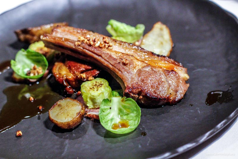 zielony niedzwiedz oliwia 11