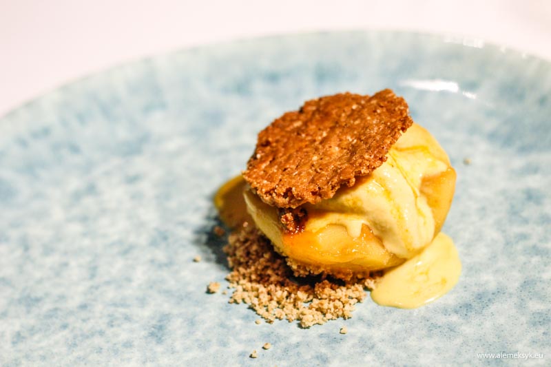 zielony niedzwiedz oliwia 12