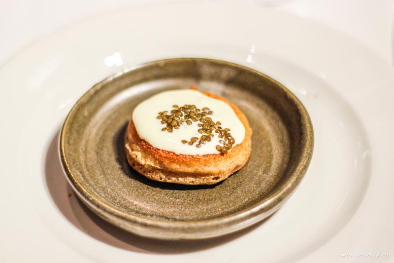 zielony niedzwiedz oliwia 3