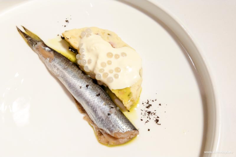 zielony niedzwiedz oliwia bernady 3