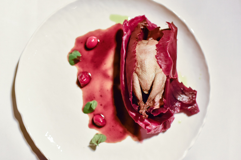 zielony niedzwiedz oliwia bernady 8b