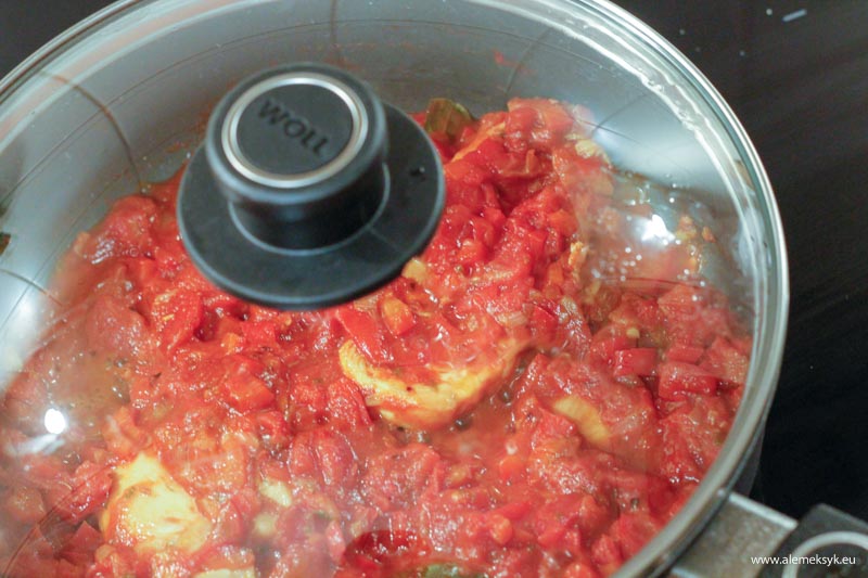 empanadas szarpany kurczak 11