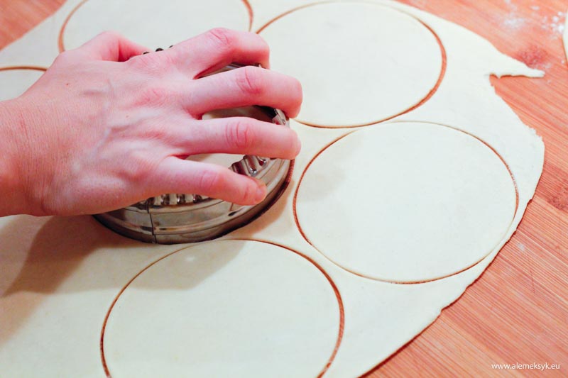 empanadas szarpany kurczak 13