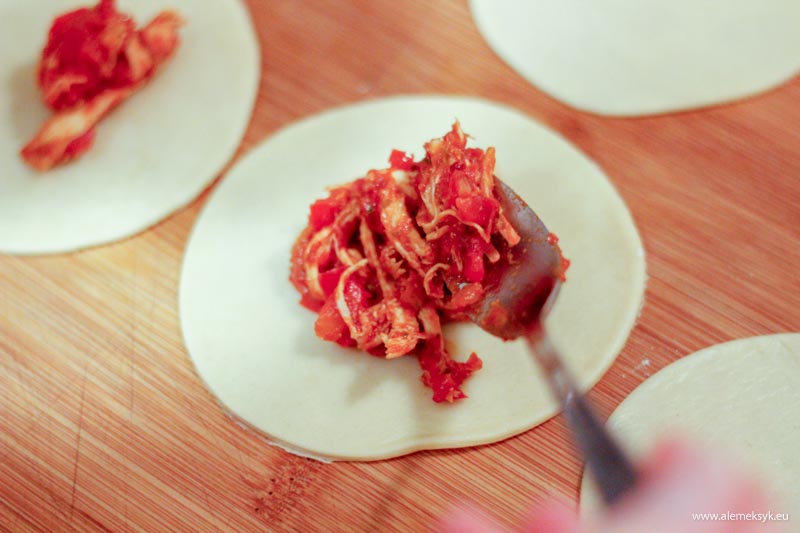 empanadas szarpany kurczak 15