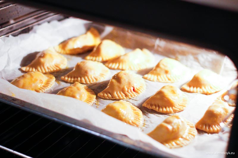 empanadas szarpany kurczak 21