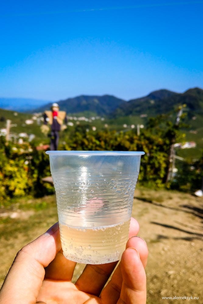 osteria senza oste 12