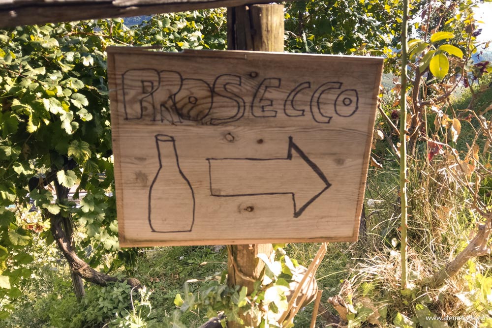 osteria senza oste 7