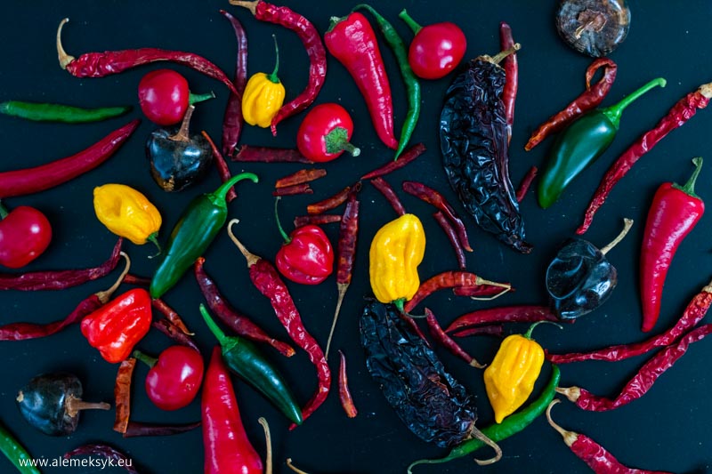 10 rzeczy meksyk m 2