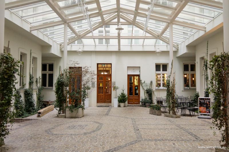 lobo bistro wnetrze 1