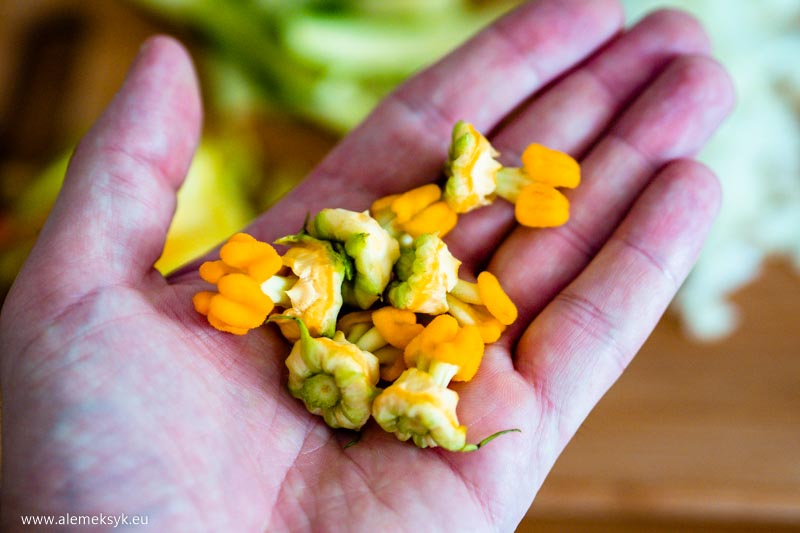 quesadilla z kwiatami cukinii 10