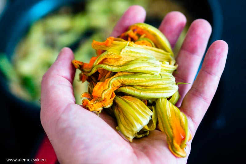 quesadilla z kwiatami cukinii 15