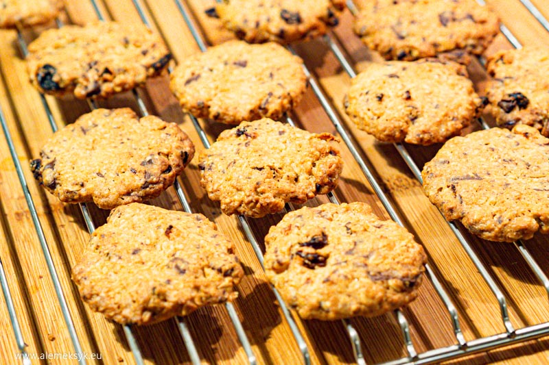ciastka owsiane czekolada rodzynki morela 17