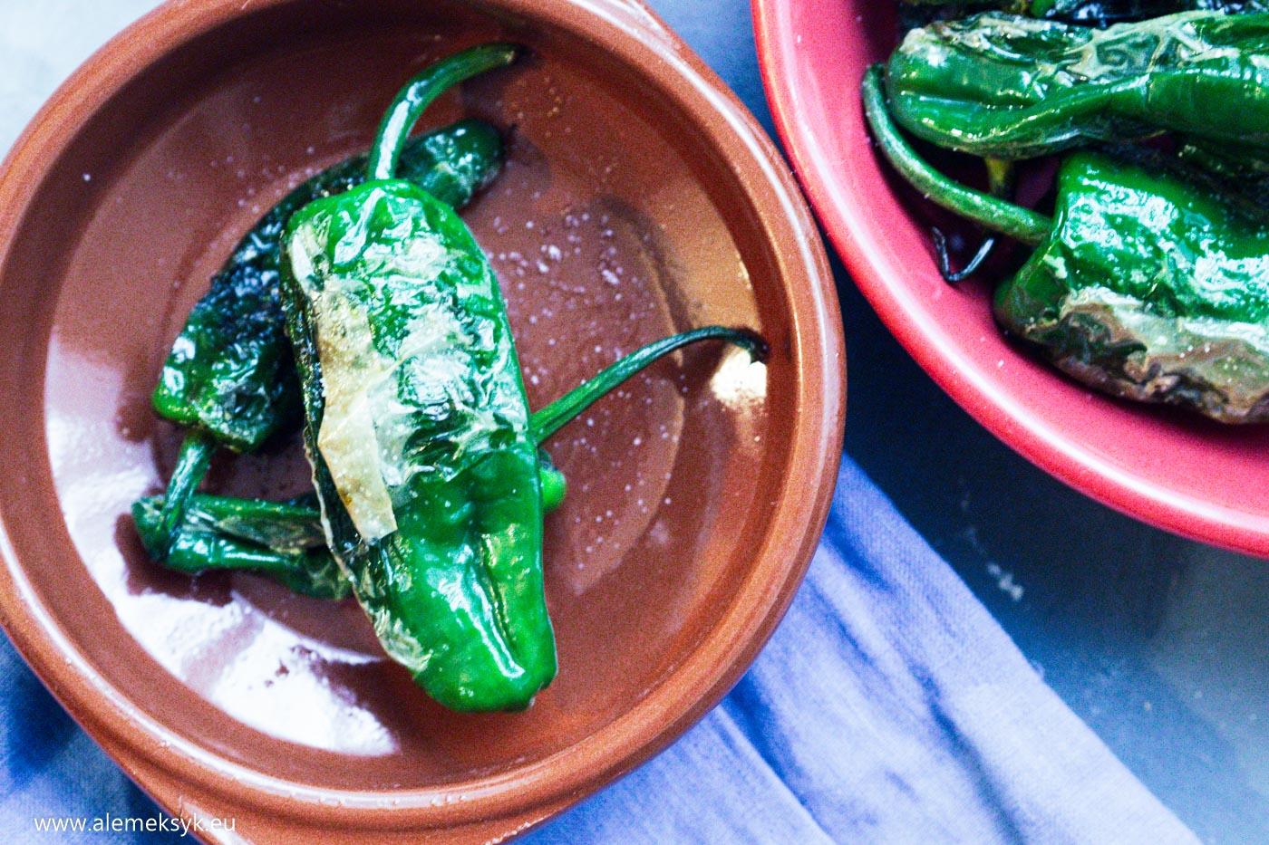 pimentos de padron 6