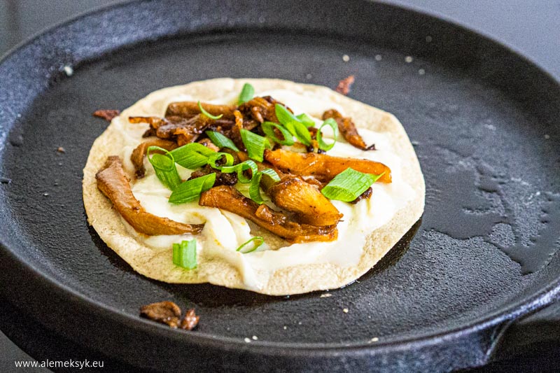 quesadilla z boczniakiem 9