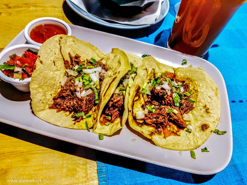 santa catrina warszawa 8