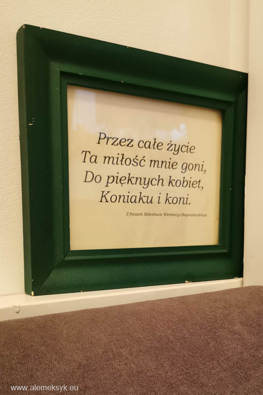 restauracja u wieniawy warszawa 11