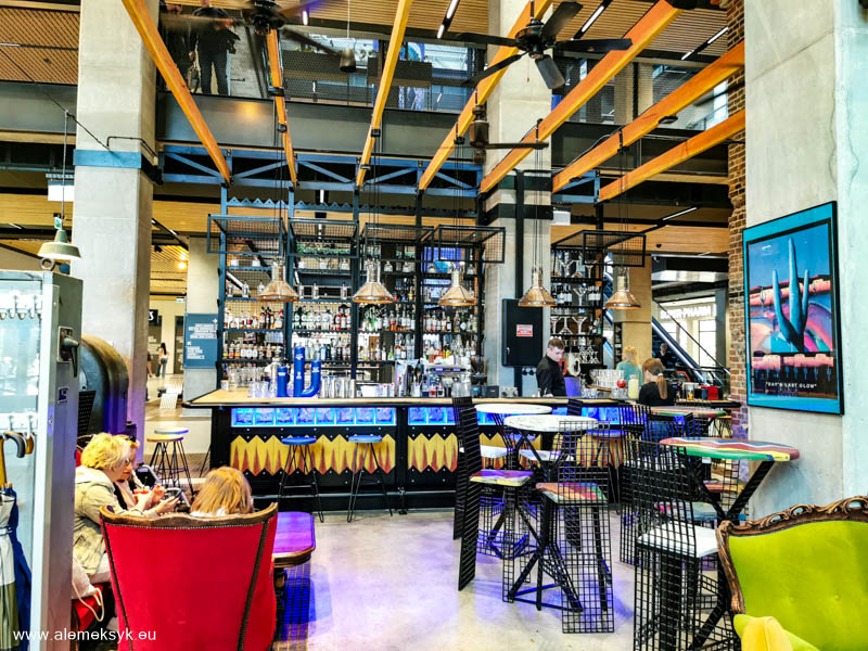 blue cactus warszawa 1