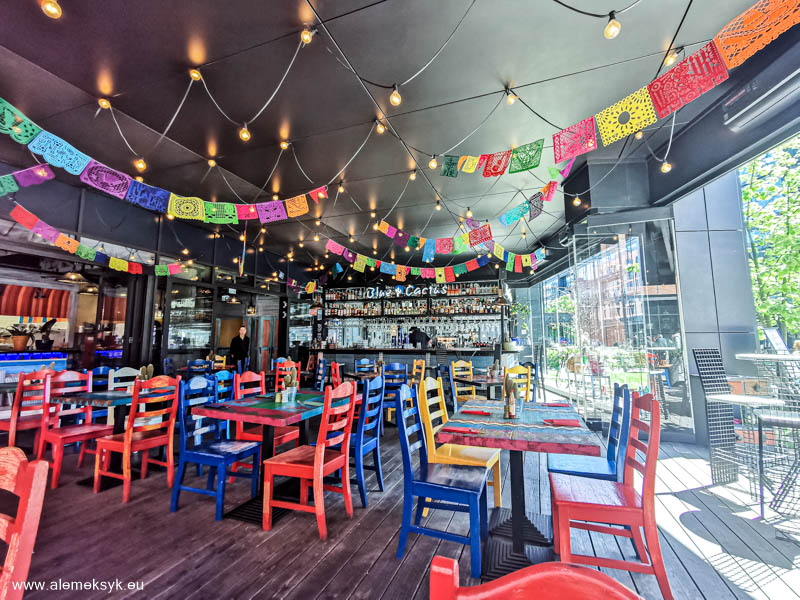 blue cactus warszawa 14